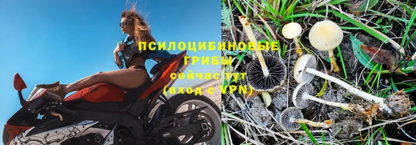 ГАЛЛЮЦИНОГЕННЫЕ ГРИБЫ Покров